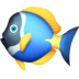 :tropical_fish: